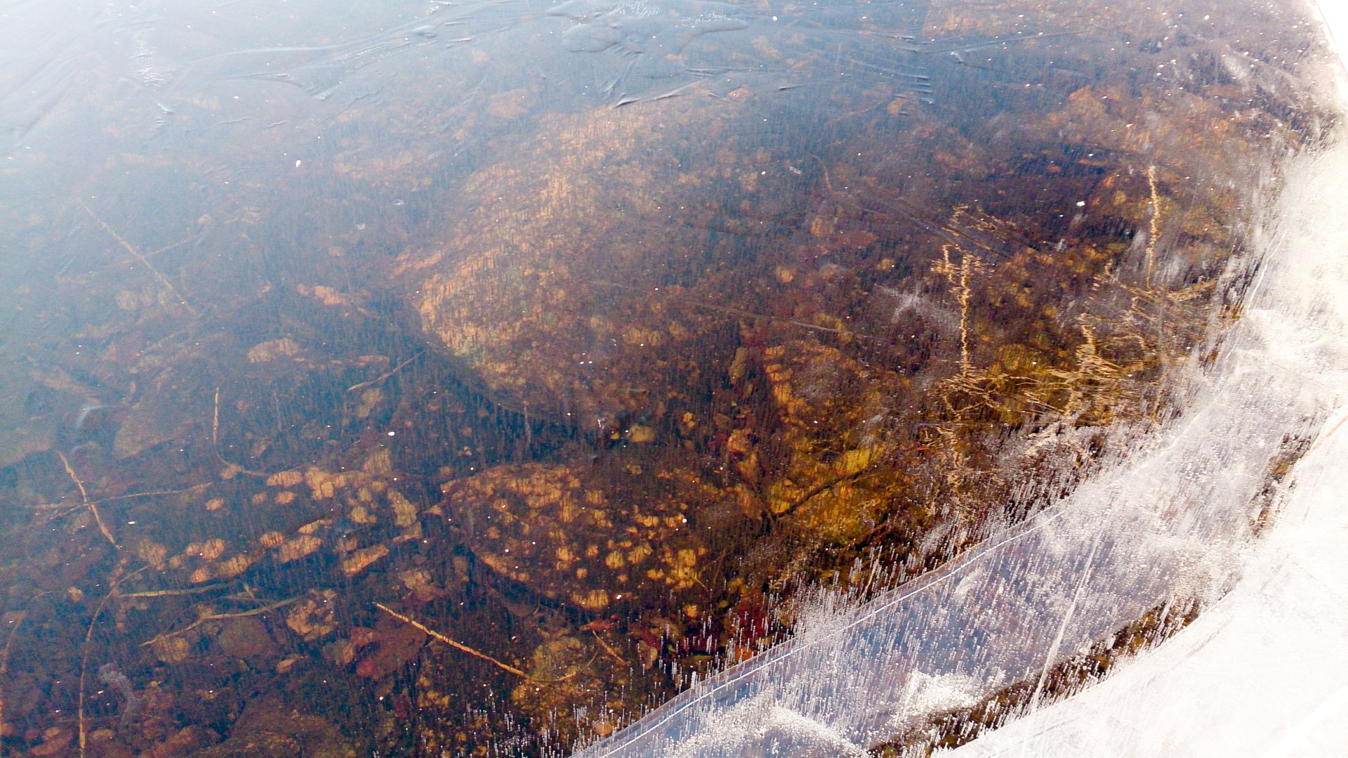 Gjennomsiktig stålis.