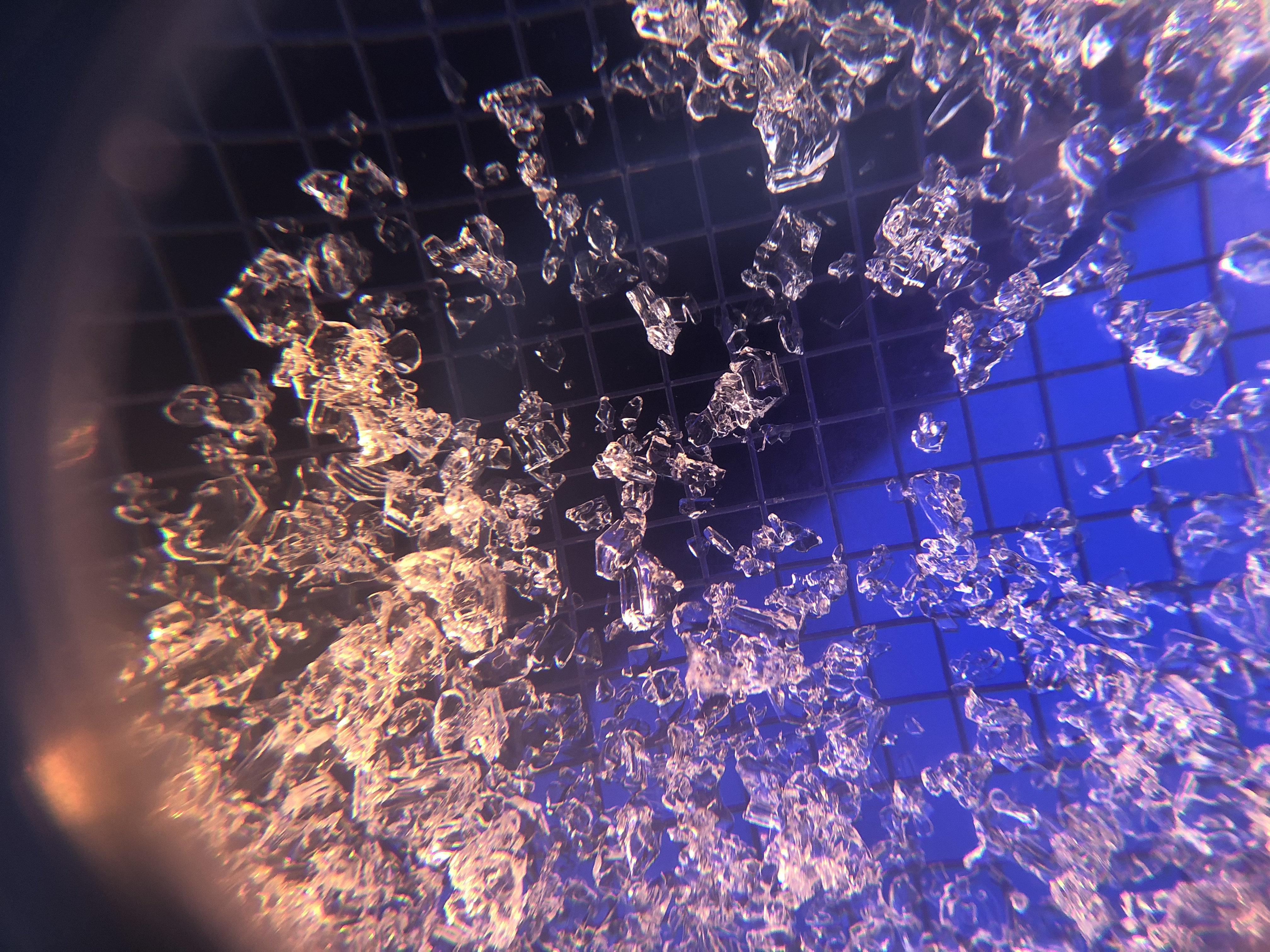 Bilde av kantkorn på en rasteplate sett gjennom forstørrelsesglatt.