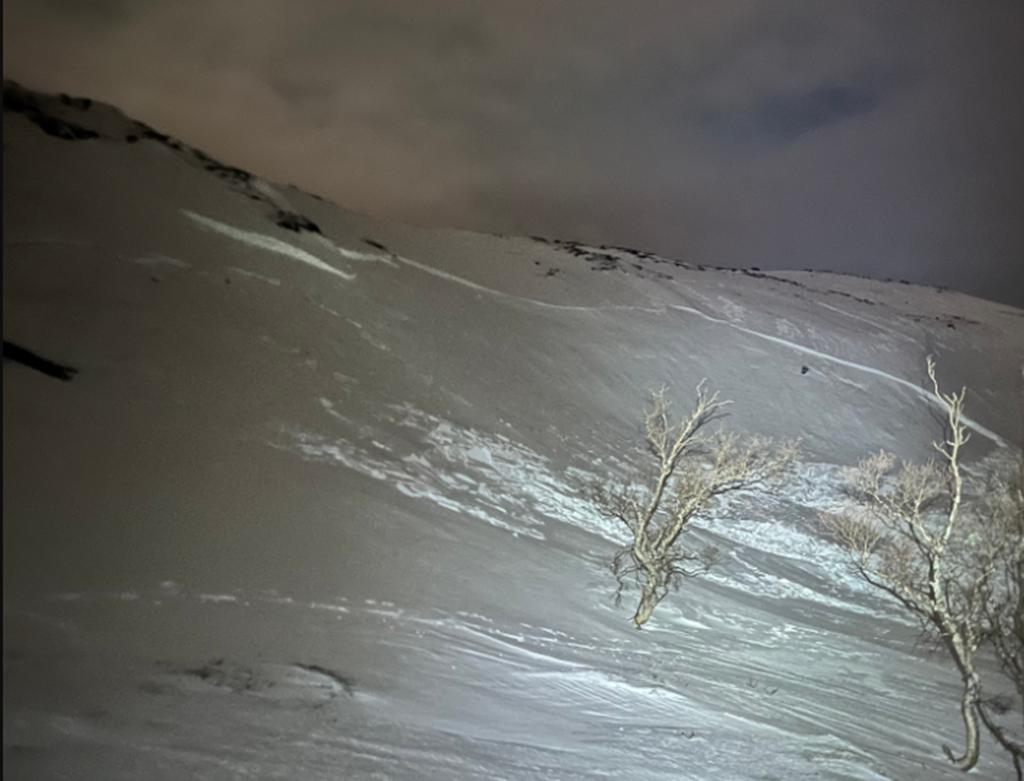 Snøskred Finnvikeidet. Kvinna vart funnen utanfor høgre biletkant.